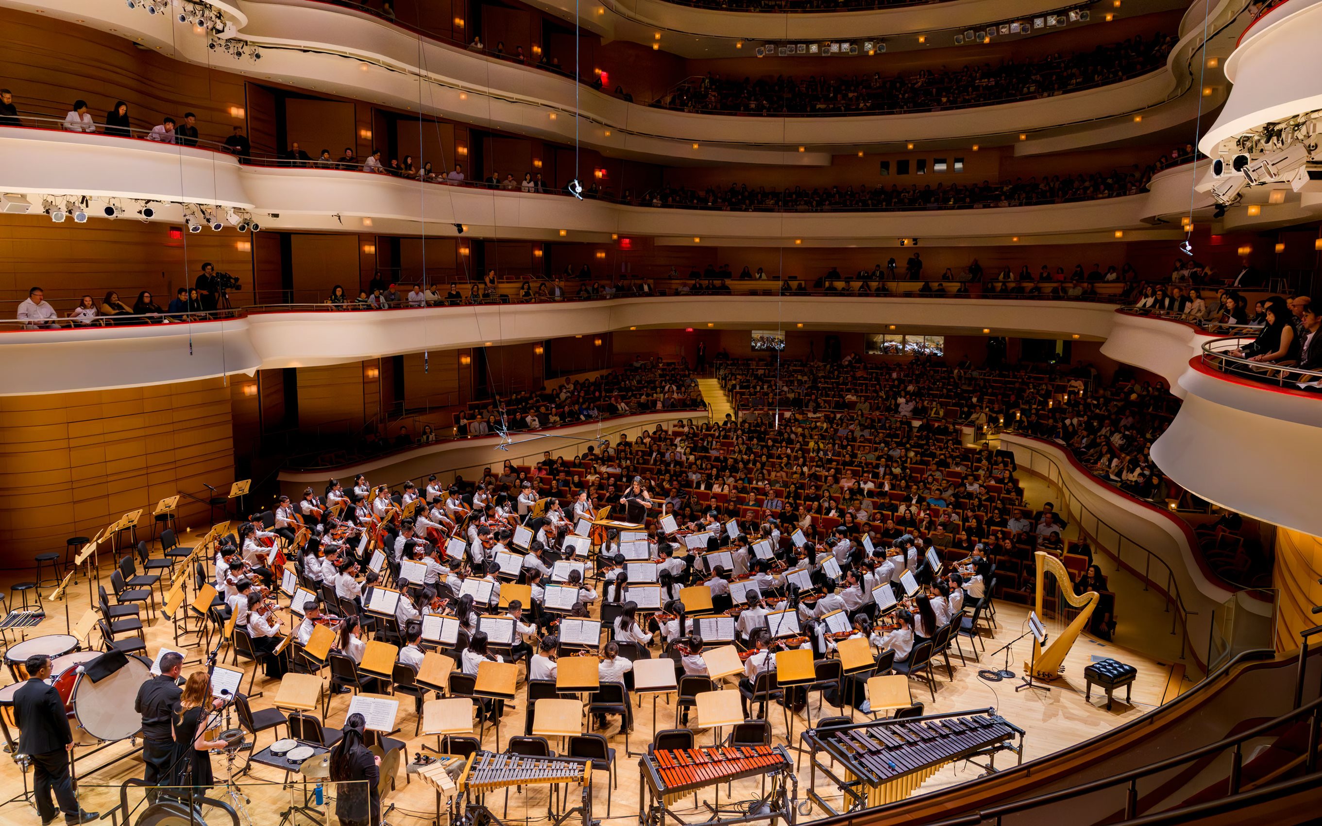 その他 Arena sep2000 Bridget Hall 41st Annual Donald Bren Honors Concert | Segerstrom Center for the