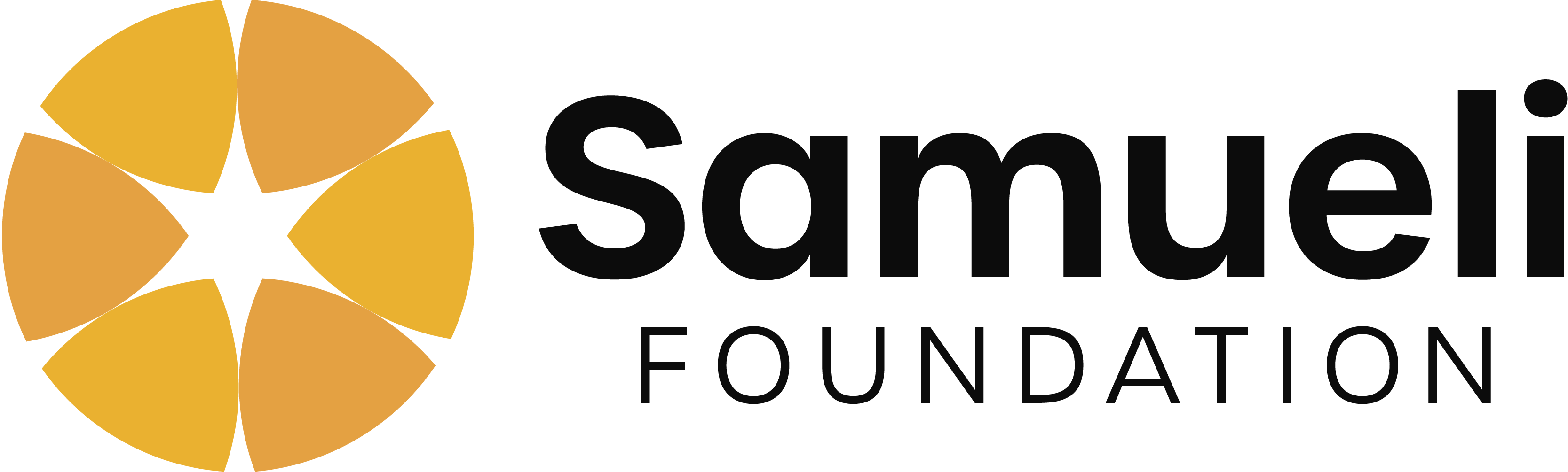 Samueli Foundation
